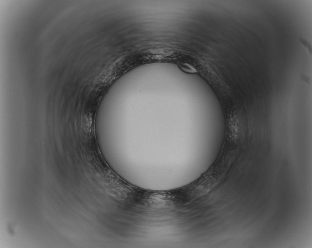 X0000101200657200807111011