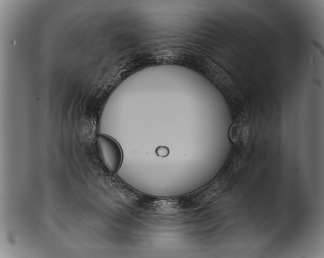 X0000101200660200807111011