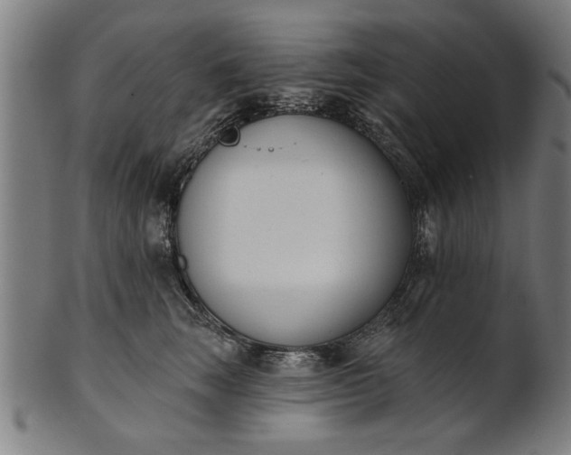 X0000101200663200807111011