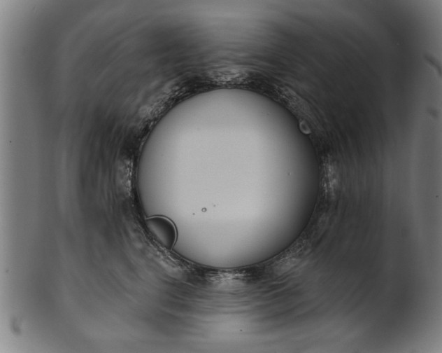 X0000101200664200807111011