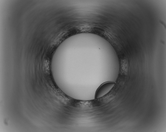 X0000101200667200807111011