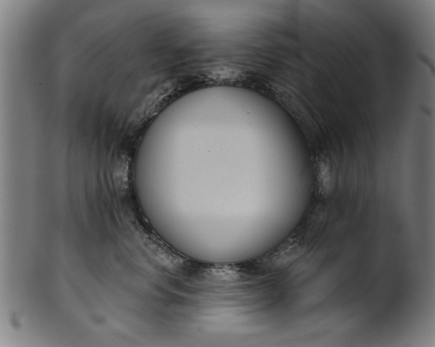 X0000101200668200807111011