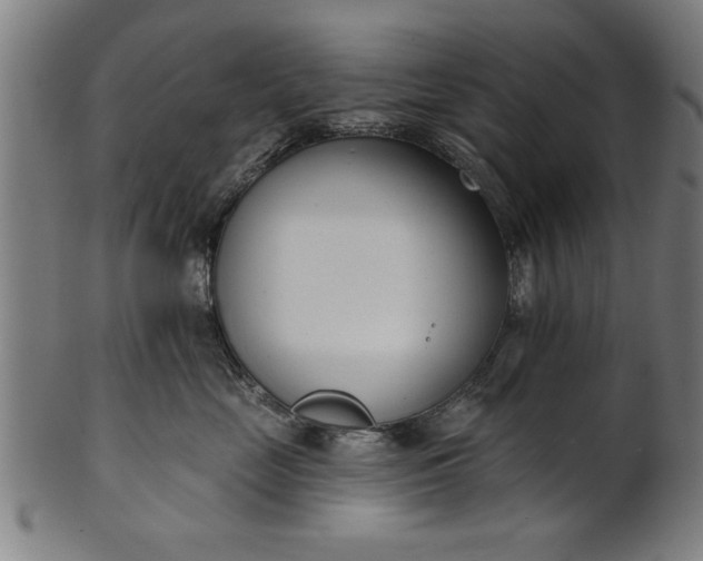 X0000101200669200807111011