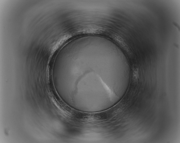 X0000101200678200807111010