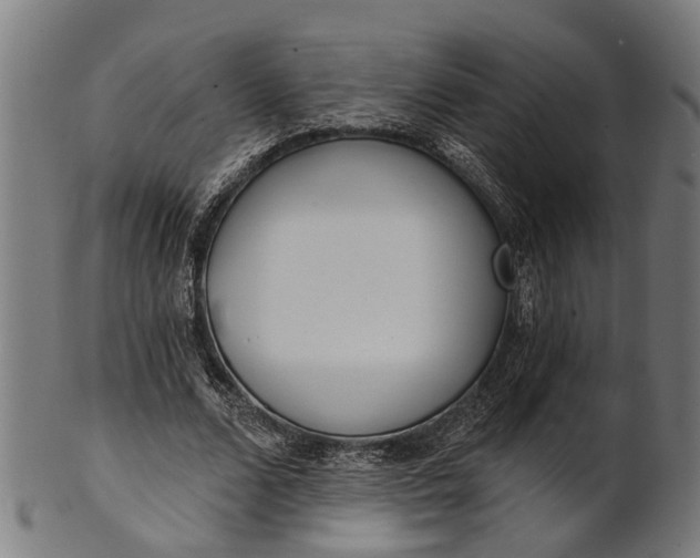 X0000101200680200807111010
