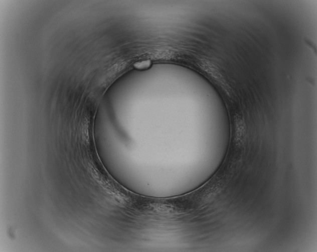 X0000101200681200807111010