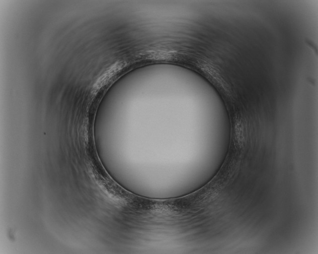 X0000101200682200807111010