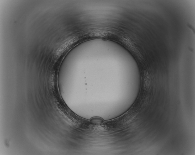 X0000101200683200807111010