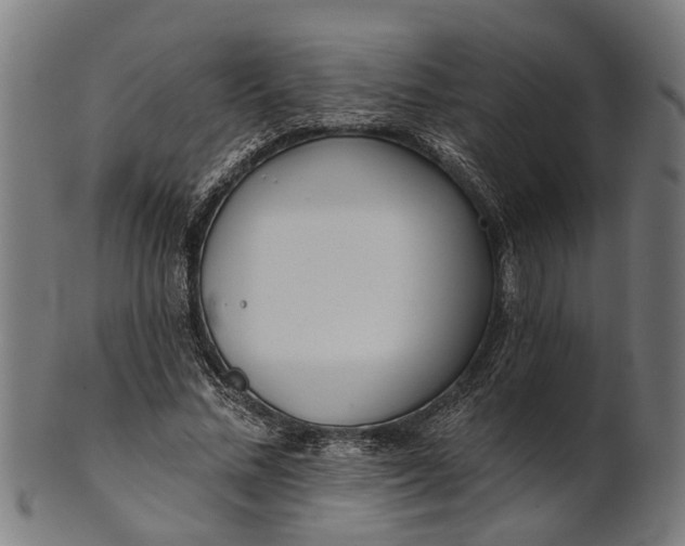 X0000101200684200807111010