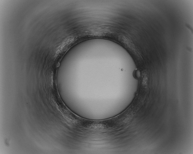 X0000101200685200807111010