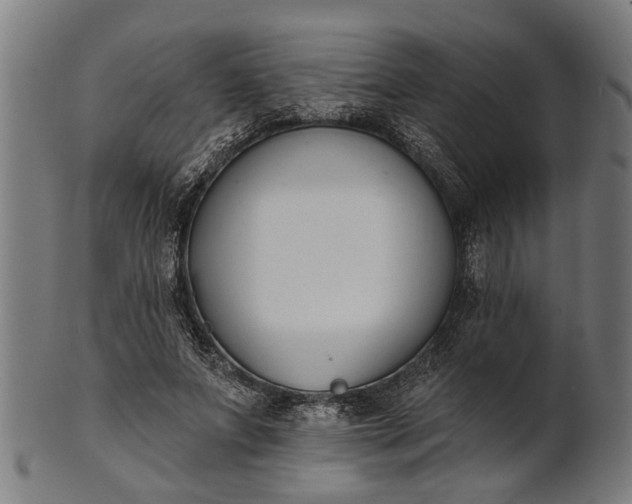 X0000101200687200807111010