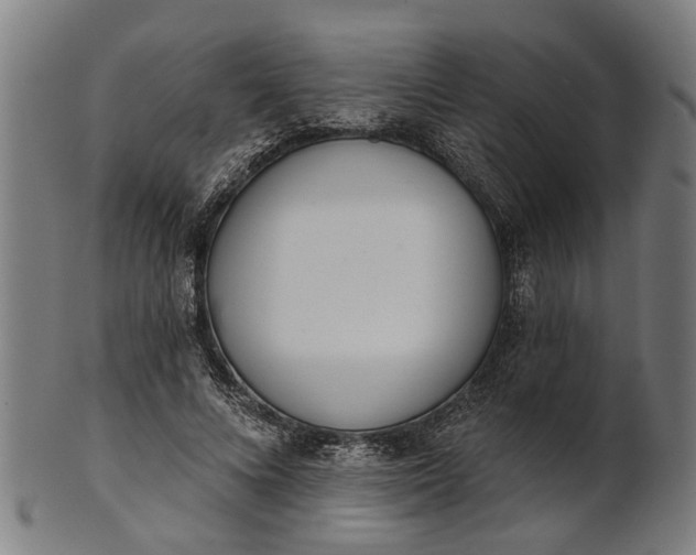 X0000101200688200807111010