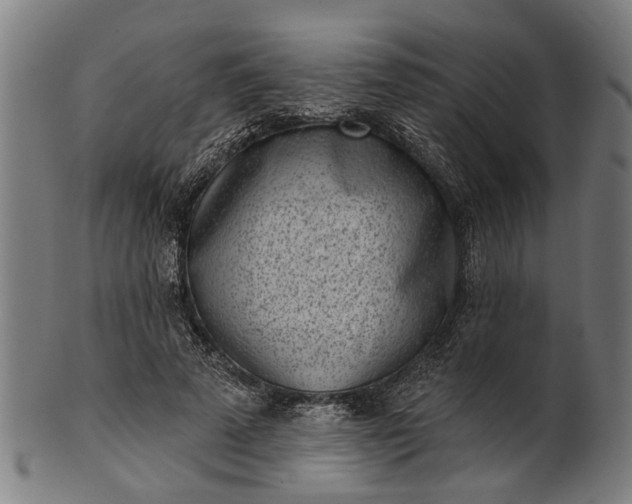 X0000101200689200807111010