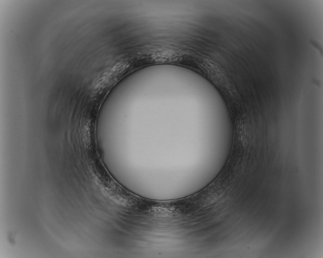X0000101200690200807111010