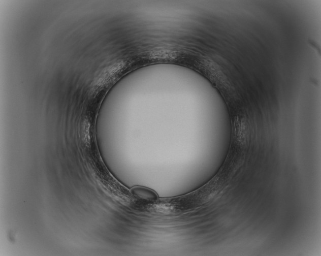 X0000101200692200807111010