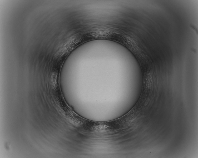X0000101200695200807111010