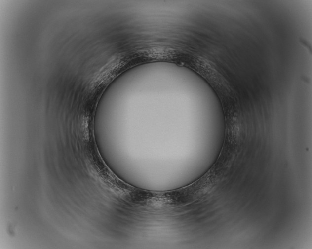 X0000101200696200807111010