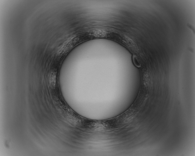 X0000101200697200807111010