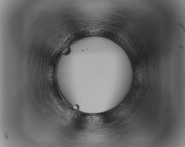 X0000101200698200807111010