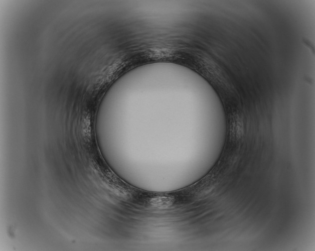 X0000101200700200807111010