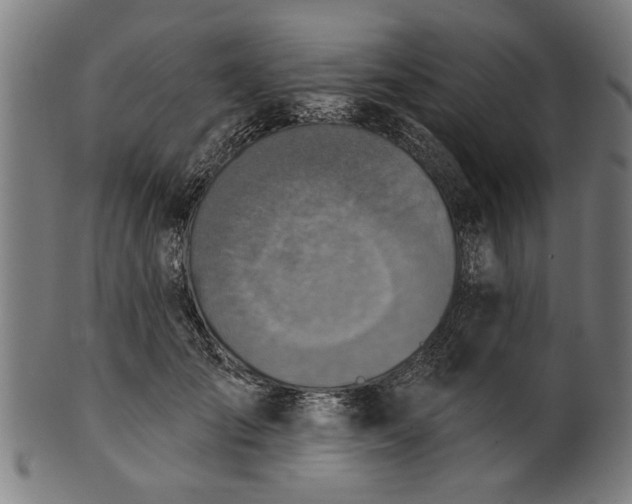 X0000101200701200807111010