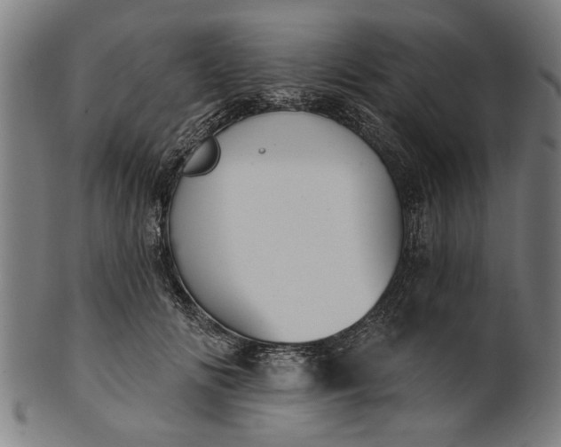 X0000101200702200807111010
