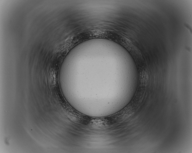 X0000101200703200807111010