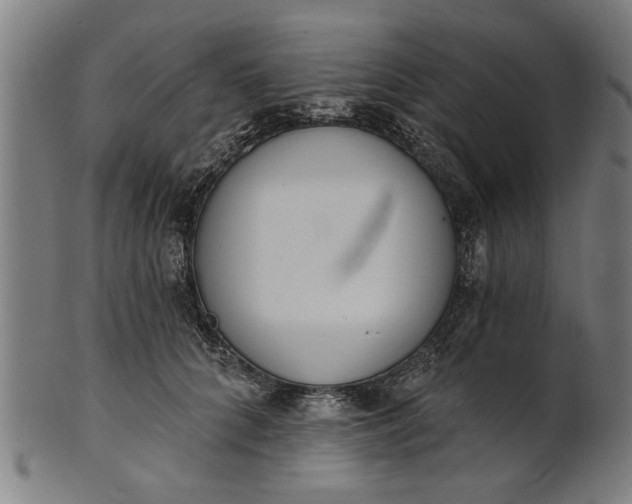 X0000101200704200807111010