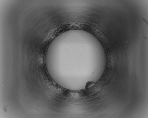 X0000101200706200807111010