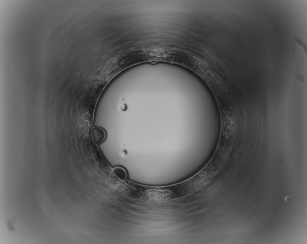 X0000101200707200807111010