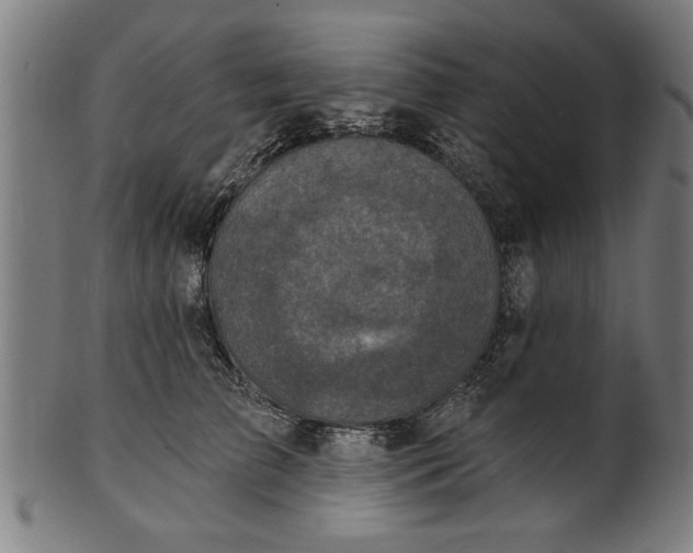 X0000101200709200807111010