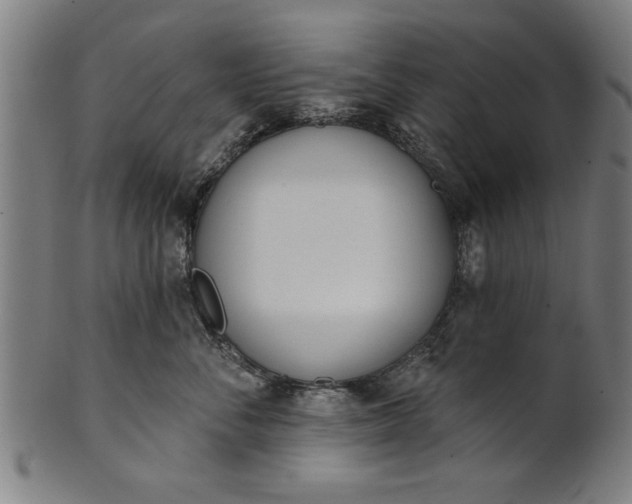 X0000101200716200807111009