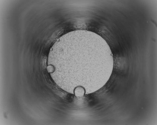 X0000101200717200807111009