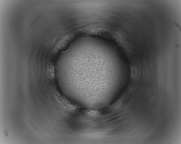 X0000101200718200807111009