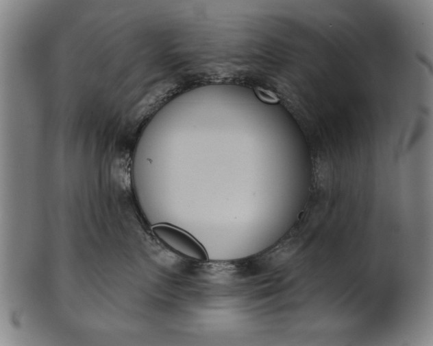 X0000101200719200807111009