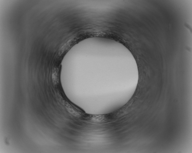 X0000101200720200807111009