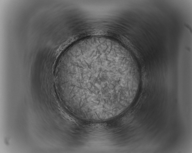X0000101200721200807111009