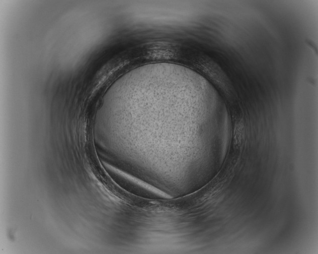 X0000101200722200807111009