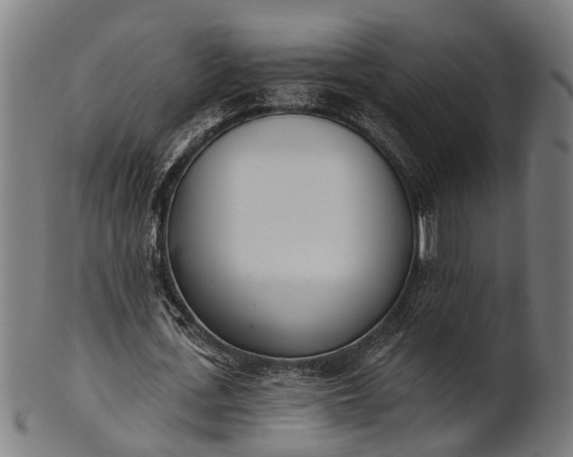 X0000101200723200807111009