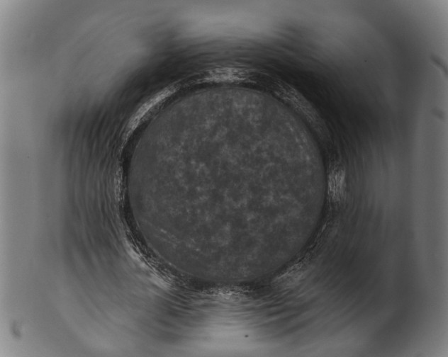 X0000101200724200807111009