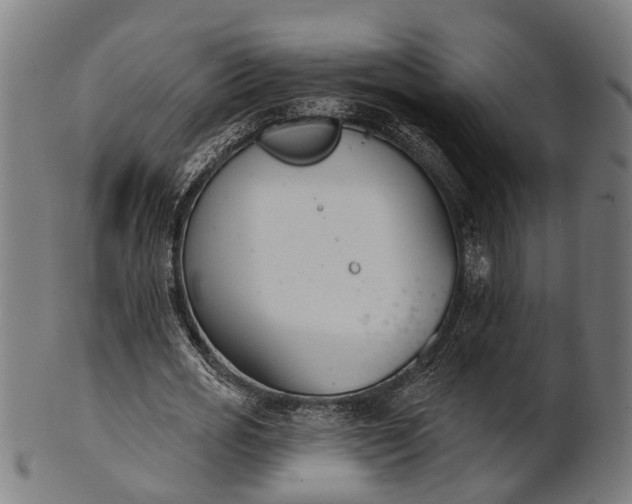 X0000101200725200807111009