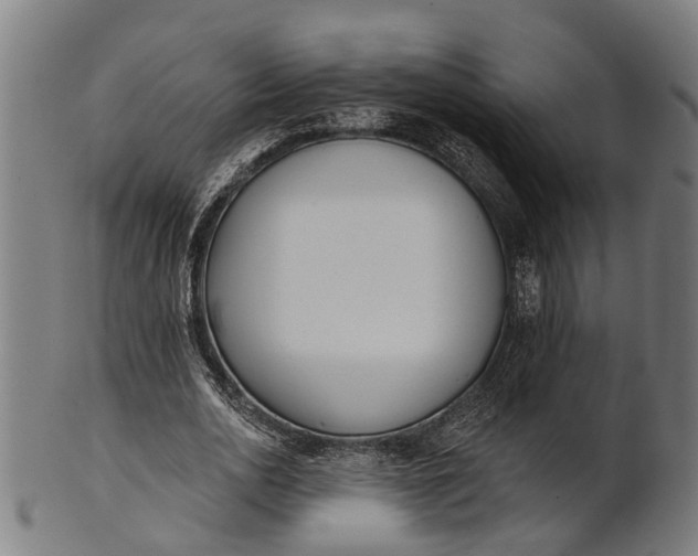 X0000101200726200807111009