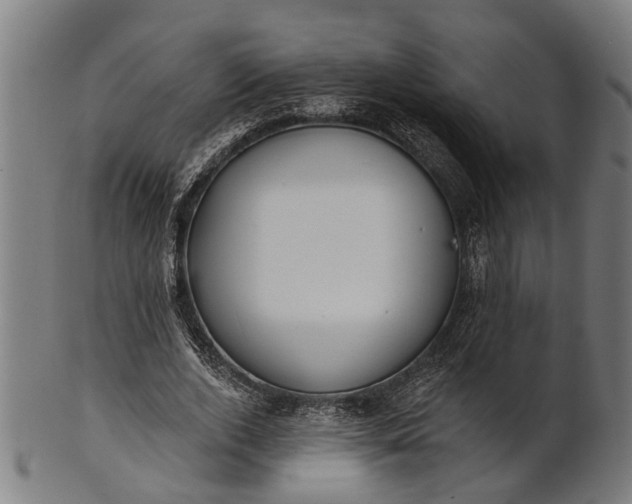 X0000101200728200807111009