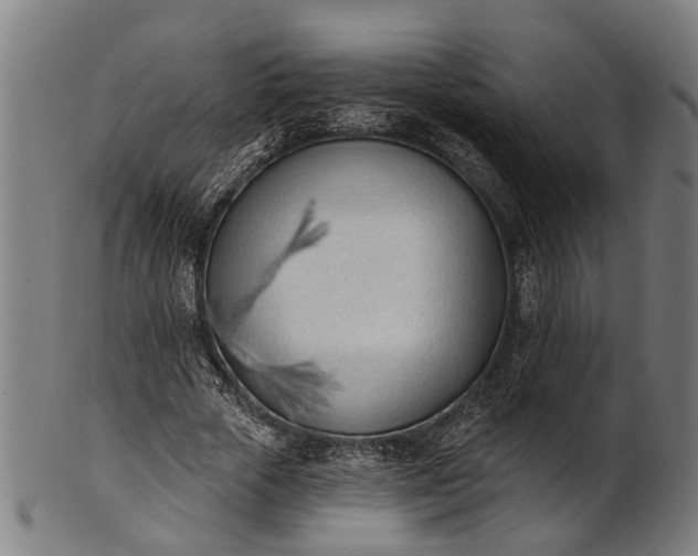X0000101200729200807111009