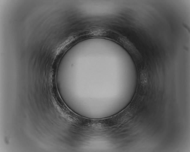 X0000101200730200807111009
