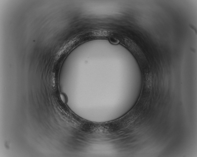 X0000101200731200807111009