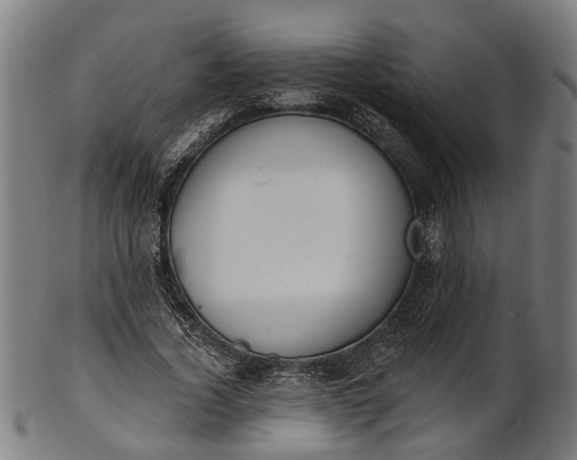 X0000101200732200807111009