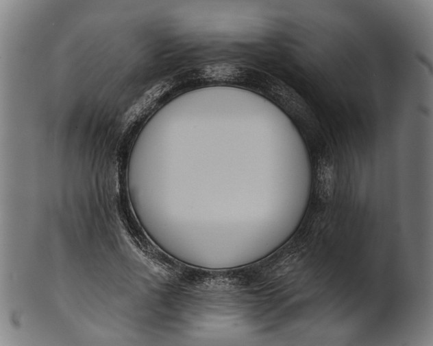 X0000101200734200807111009