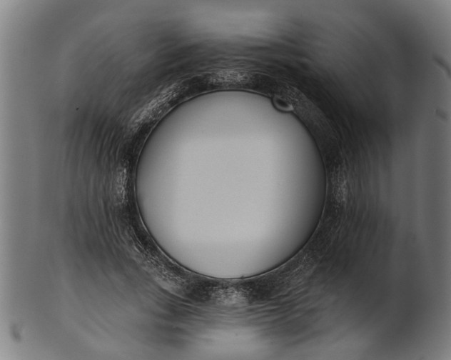 X0000101200735200807111009
