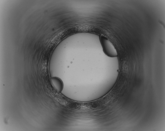 X0000101200737200807111009